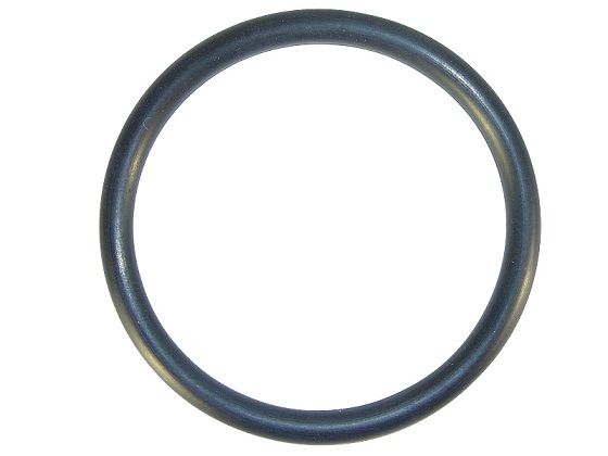 1542783 – ANEL VEDAÇAO VOLVO N10/N12