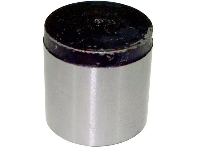 301476 – PISTAO BOMB OLEO SCANIA FKR113