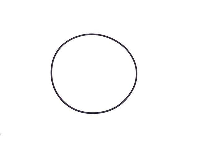 308900310 – ANEL ORING CARRETA FACCHINI