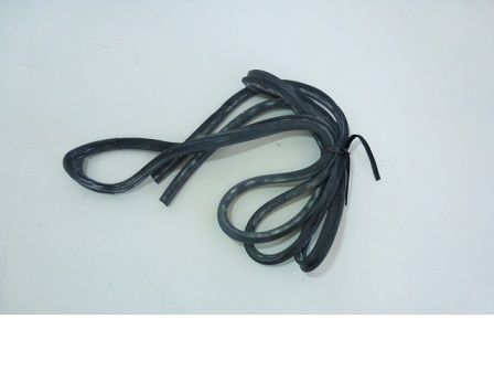 8125163 – GUARNIÇÃO PORTA VOLVO N10/N12